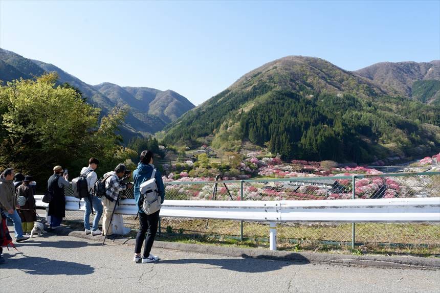 阿智の花桃の里 展望台の様子