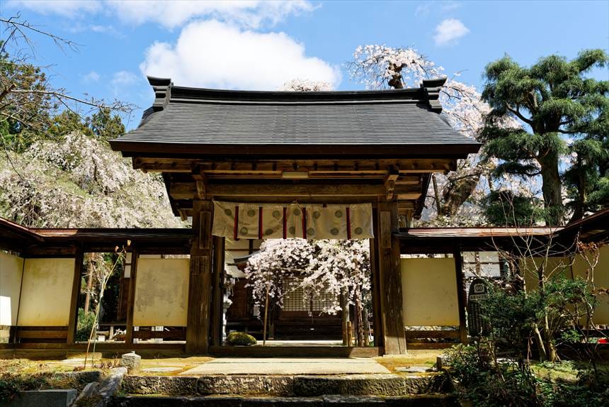 愛蔵寺の入り口から見える護摩桜