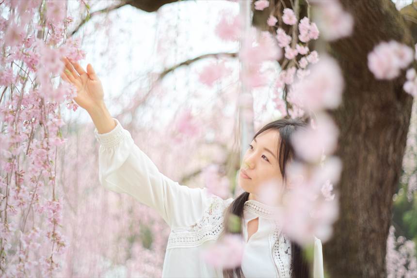 大聖寺の紅しだれ桜の下でポートレート