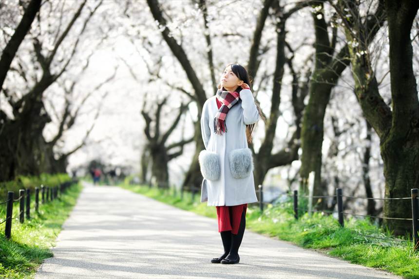 権現堂の桜のトンネルでポートレート LAOWA 105mmF2 bokeh dreamerで撮影