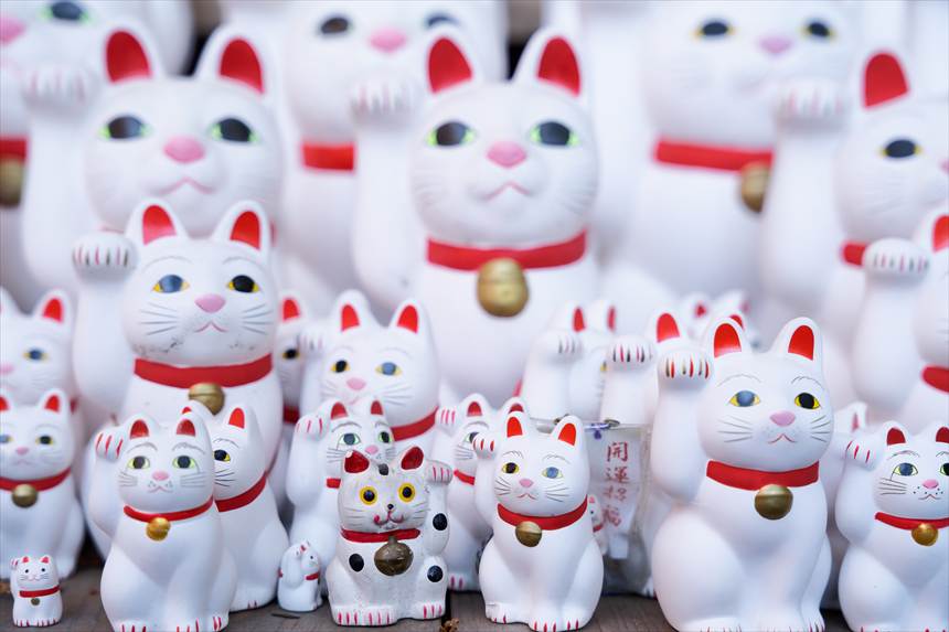 顔も違えば上げている手も違う招き猫