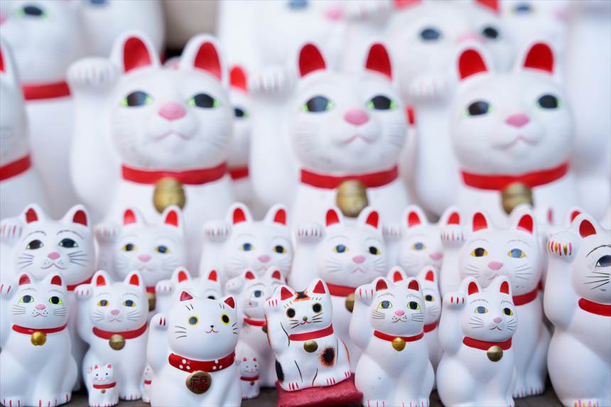 座布団に座った招き猫