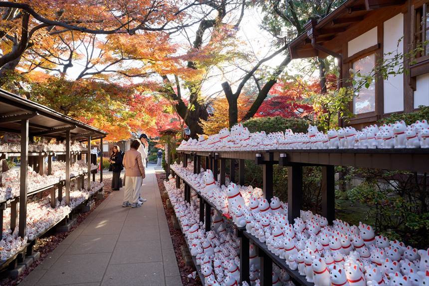 ズラッと並ぶ豪徳寺の招き猫