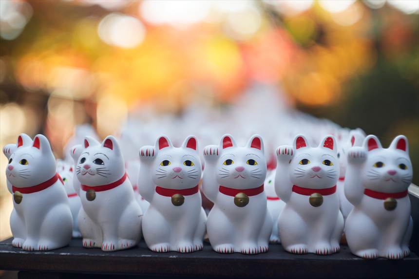 豪徳寺の招き猫　背景ボケにモミジ