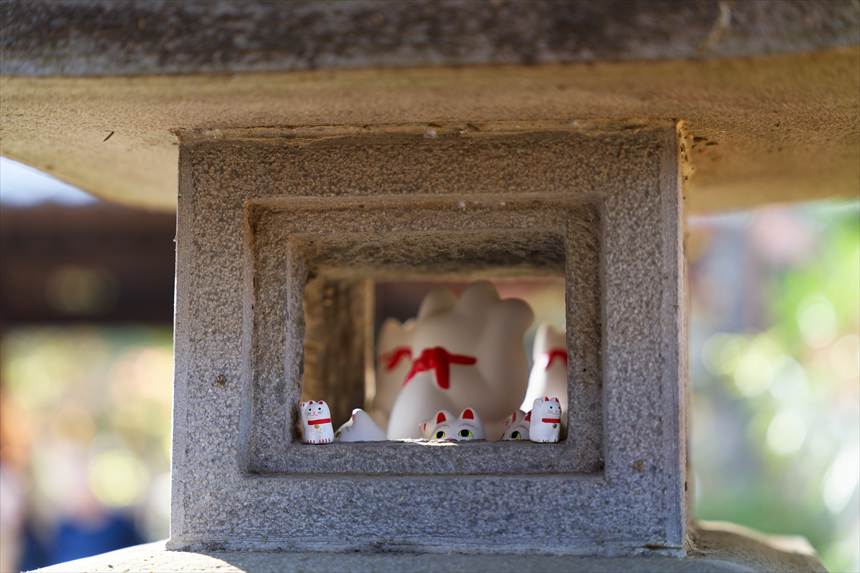 豪徳寺の灯篭の穴にも招き猫