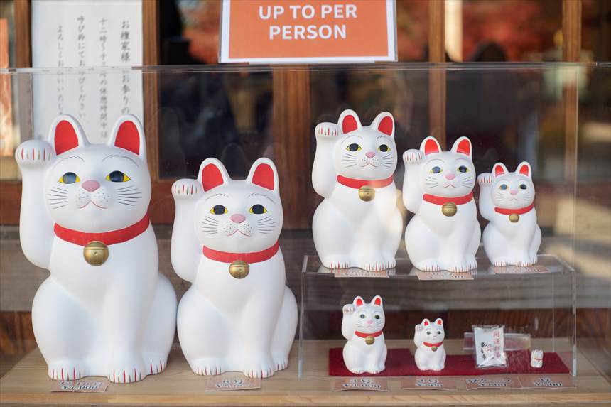 豪徳寺で販売している招き猫の見本