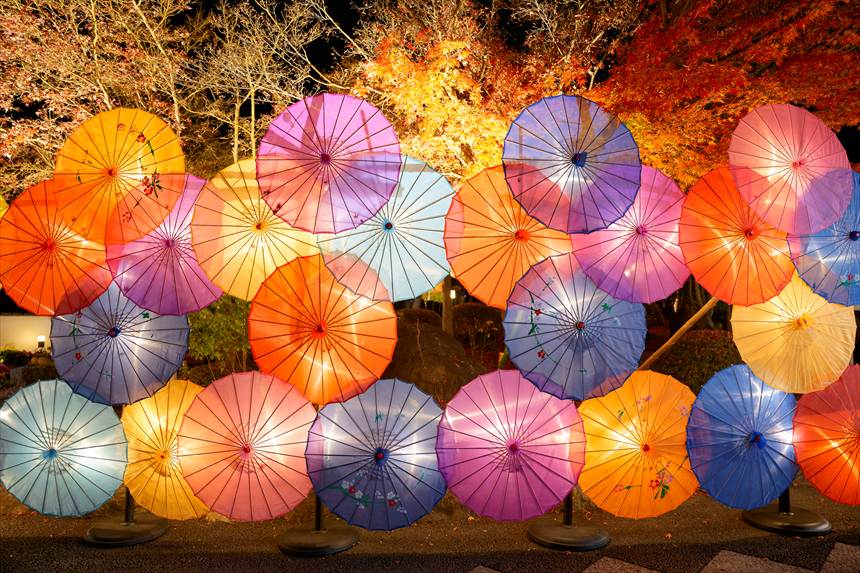宝徳寺 和傘のライトアップ