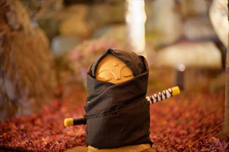 宝徳寺の忍者のカッコをした小さなお地蔵さん