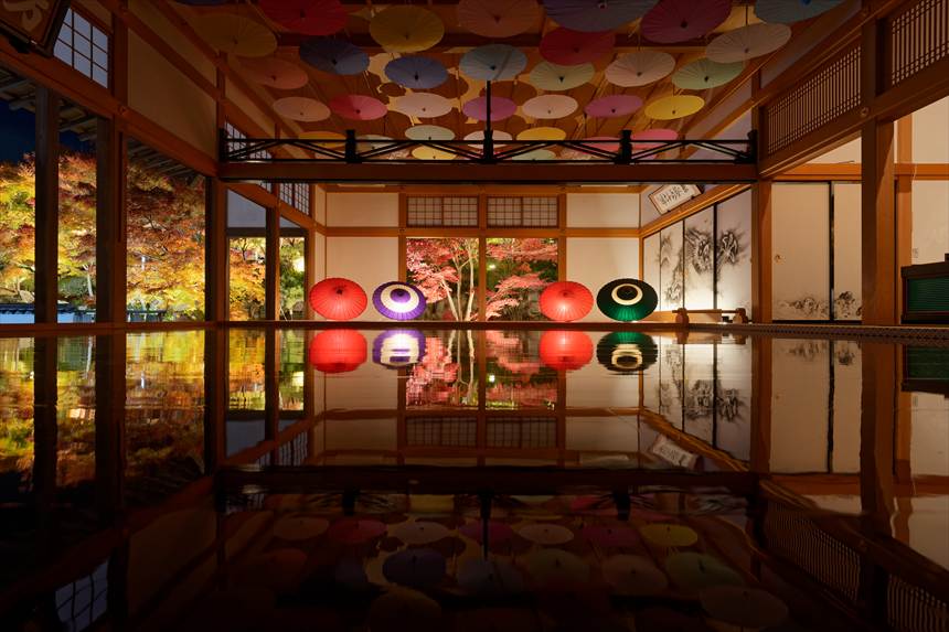 宝徳寺 床モミジライトアップ