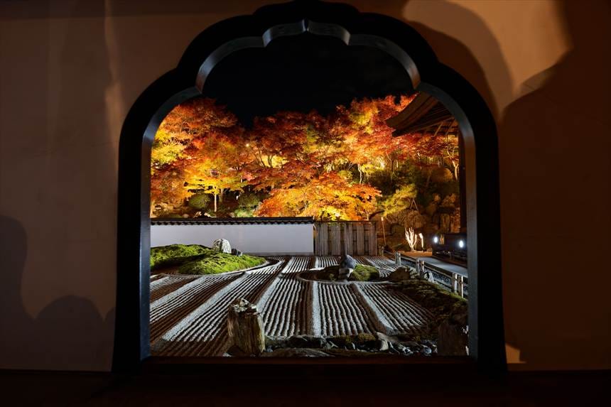 宝徳寺 庭園ライトアップ