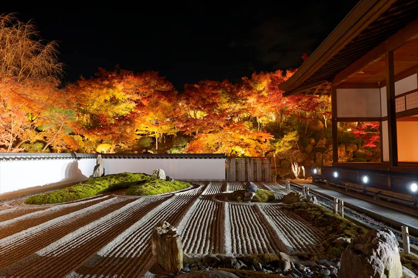 宝徳寺 枯山水ライトアップ