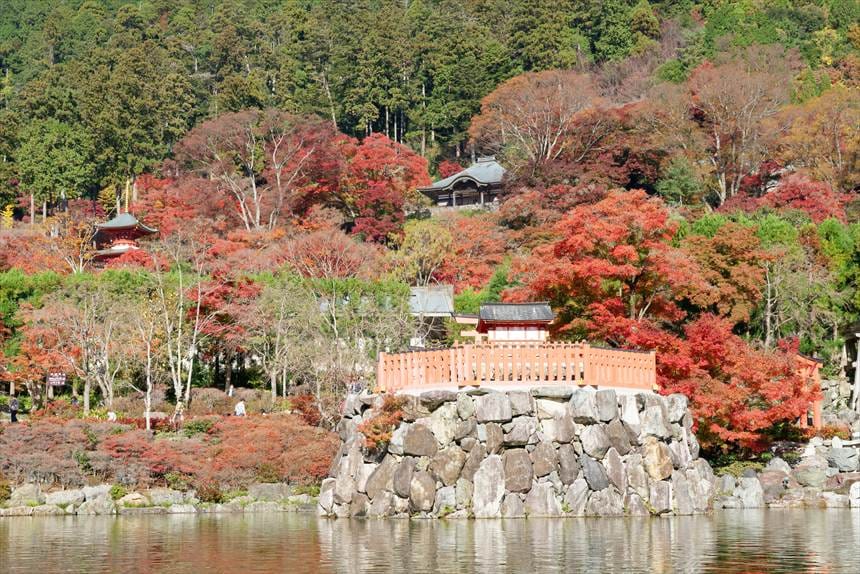 勝尾寺の境内と池