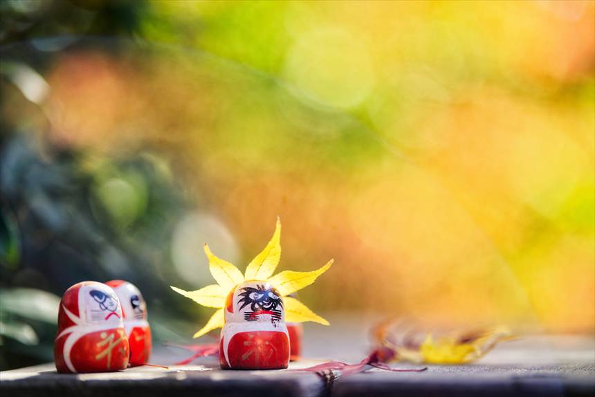 紅葉が髪の毛のような勝尾寺の達磨