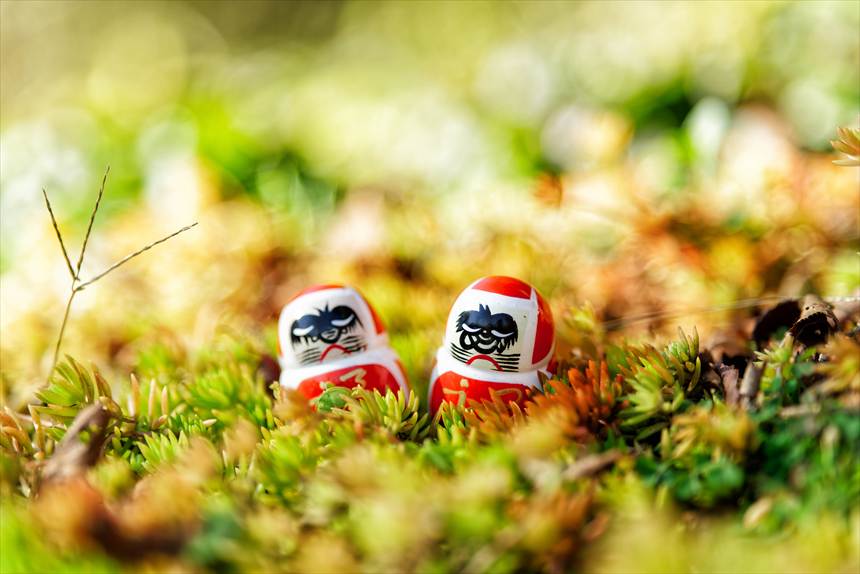 苔の中にも達磨