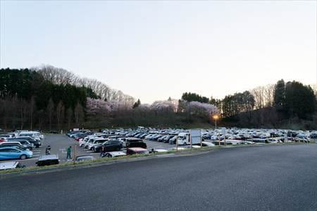 三春滝桜の駐車場