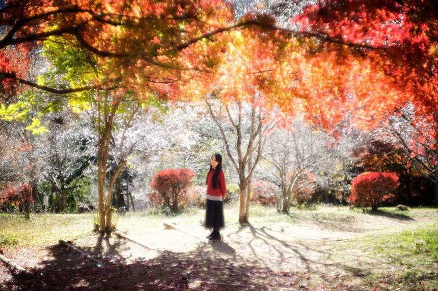 冬桜を背景にポートレート