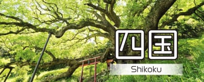 四国の絶景記事一覧