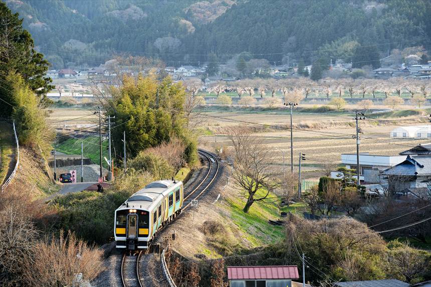 戸津辺の桜付近を走る JR水郡線