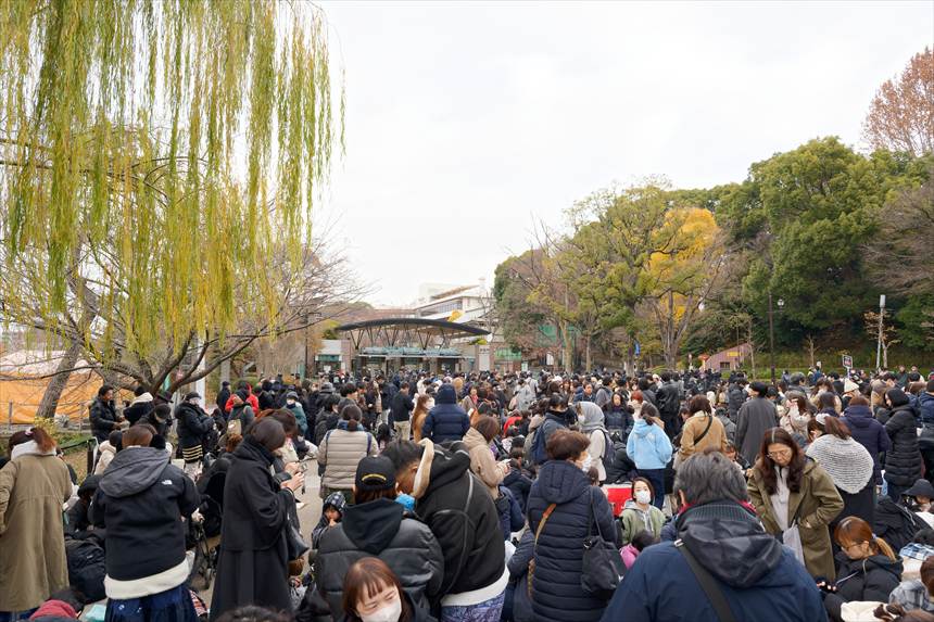 上野動物園のパンダを見るための列