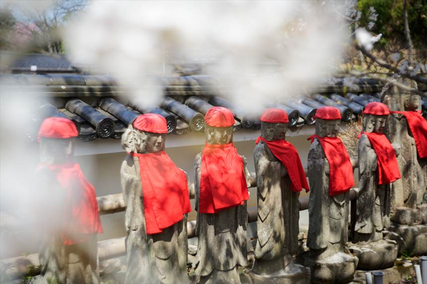福聚寺 お地蔵さんと桜
