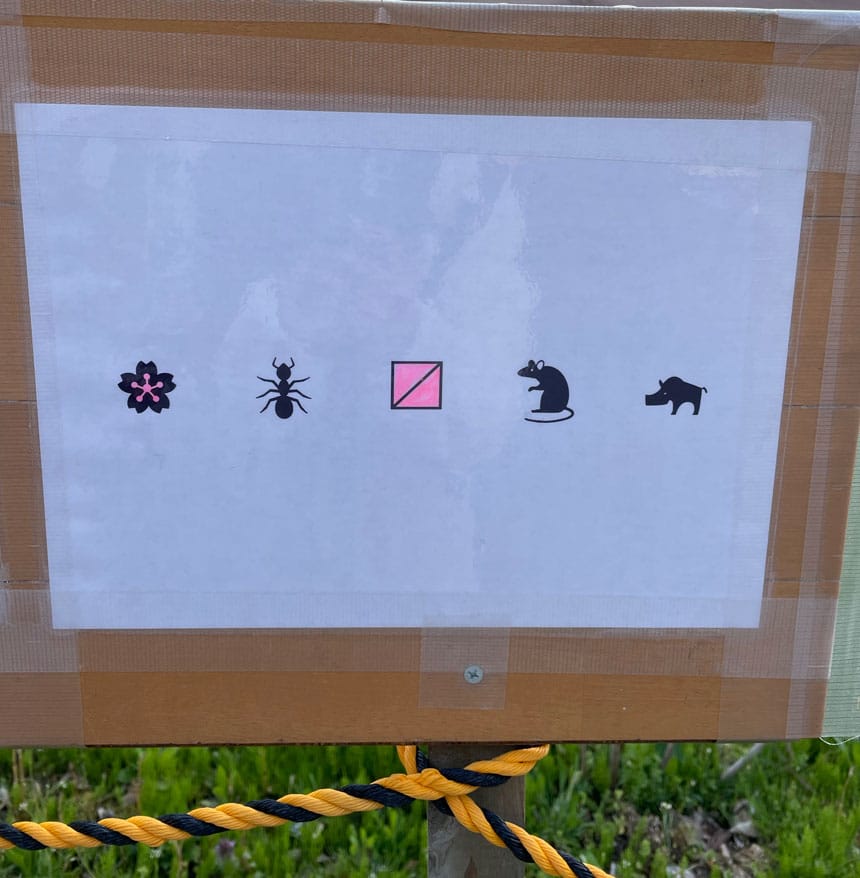 五斗蒔田の桜 暗号看板