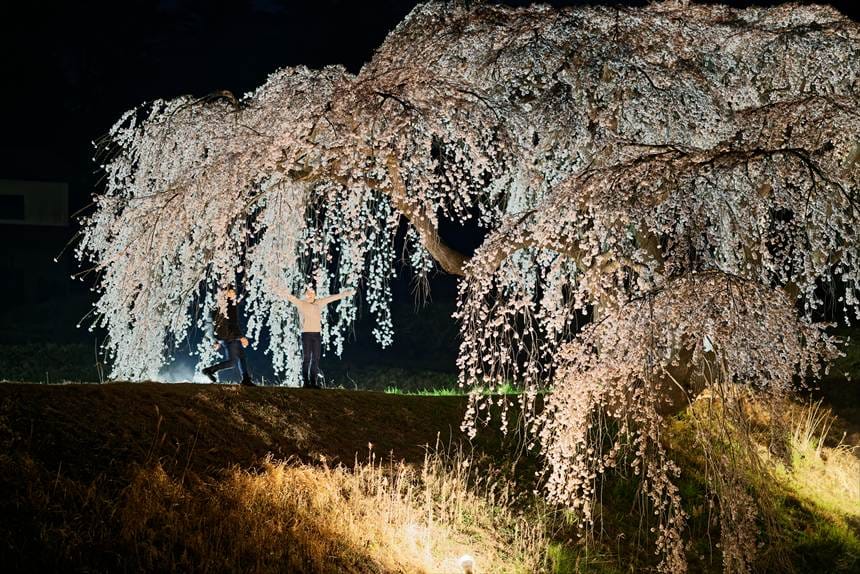 セルフタイマー撮影に失敗した様子