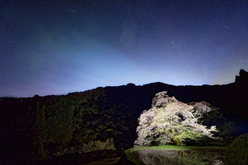 駒つなぎの桜と星(コンポジット合成)
