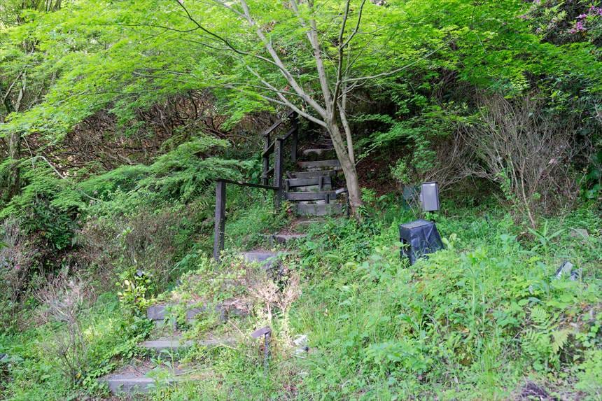 花見台までの道　御船山楽園　