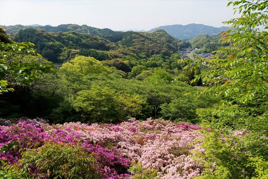 平戸つつじ「花見台」から　御船山楽園　