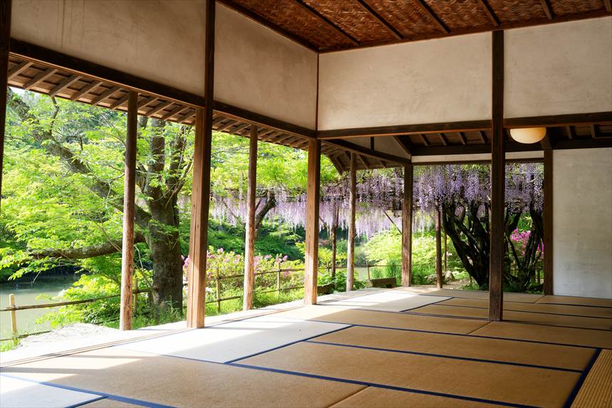 御船山楽園　　お茶屋さんと藤