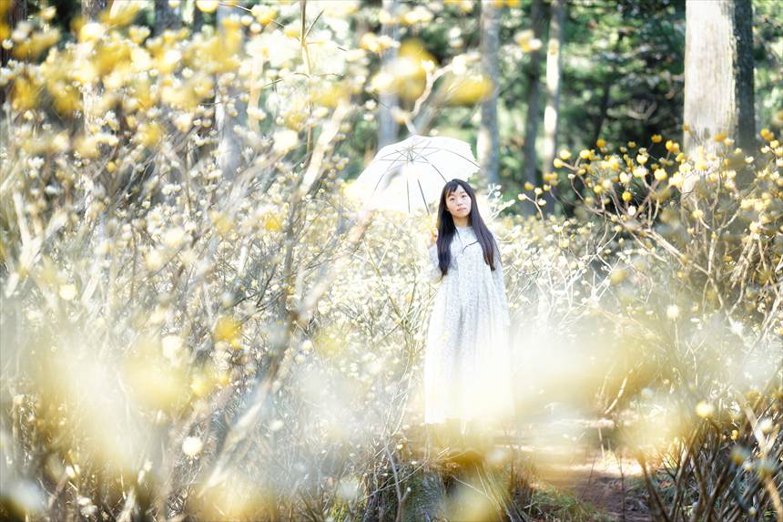 美杉ミツマタ群生地
SONY α7CⅡ+SIGMA 85mmF1.4DGDNで撮影したポートレート