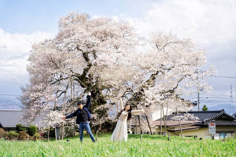 中曽根のエドヒガン（権現桜）と記念撮影