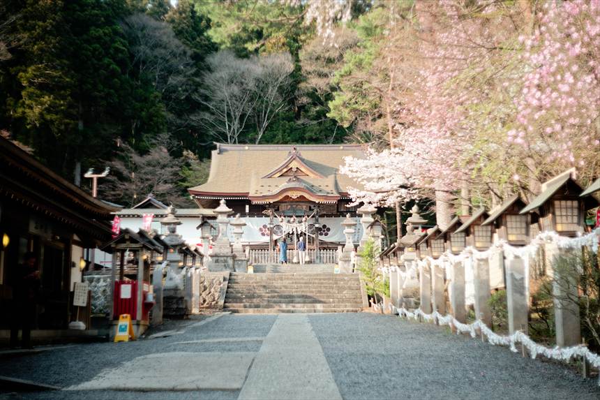 南湖神社の本殿 Leitz Summitar 5cmF2で撮影