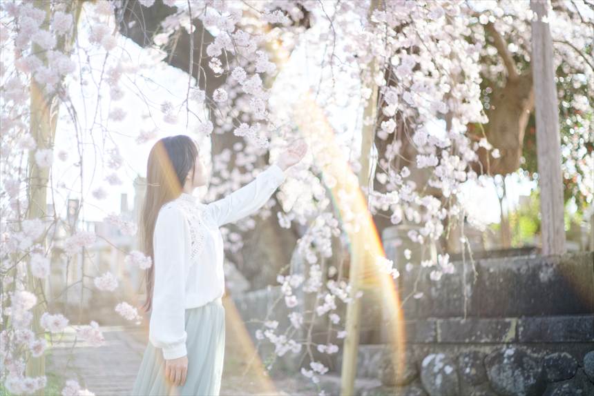 オールドレンズの虹色フレア