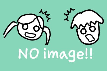 画像なし
