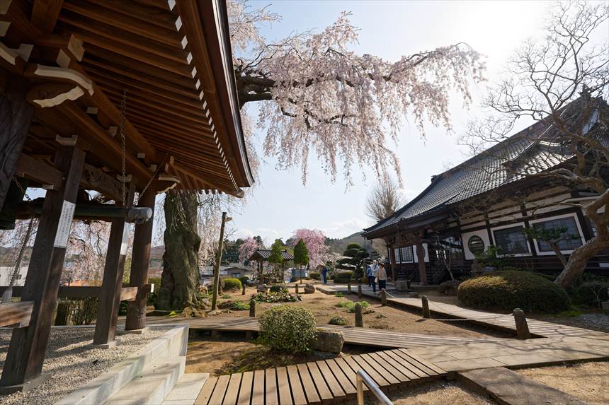 昌建寺 境内の様子（桜の右側から撮影）