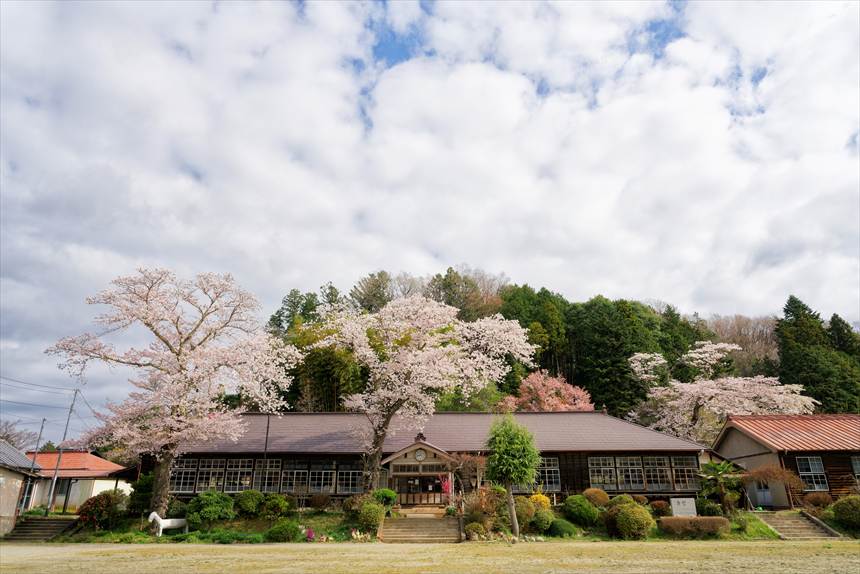 旧上岡小学校　満開の桜と青空と