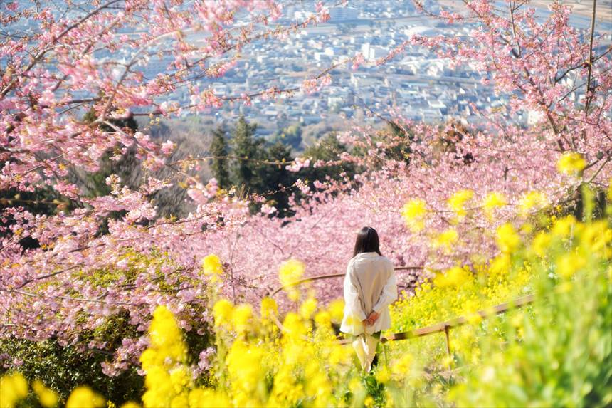 【神奈川】あぐりパーク嵯峨山苑