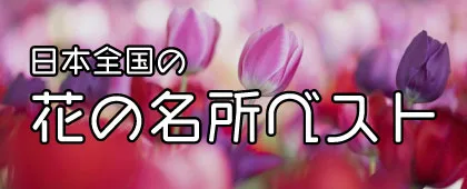 日本全国の花の名所 特集ページはこちら