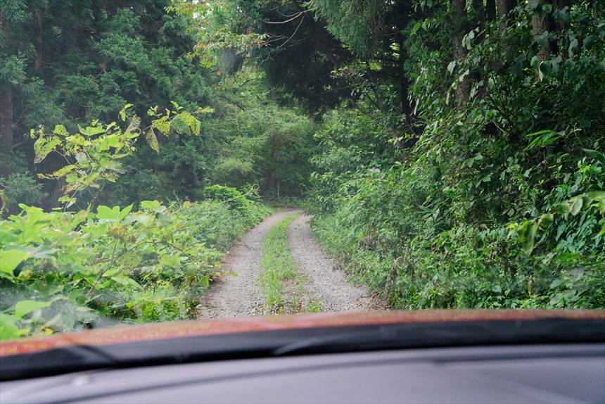 十二本ヤスへの道中は狭いです