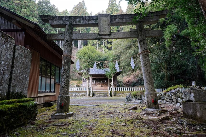 十二所神社の鳥居(桃原の牡丹スギ)