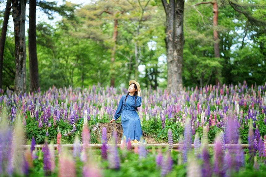 国営武蔵丘陵森林公園デルフィニウム
4月下旬〜5月上旬
ポートレート