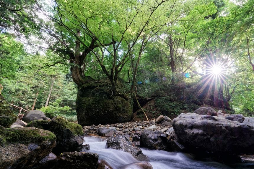 ネコバリ岩の周りには小川が流れています。
