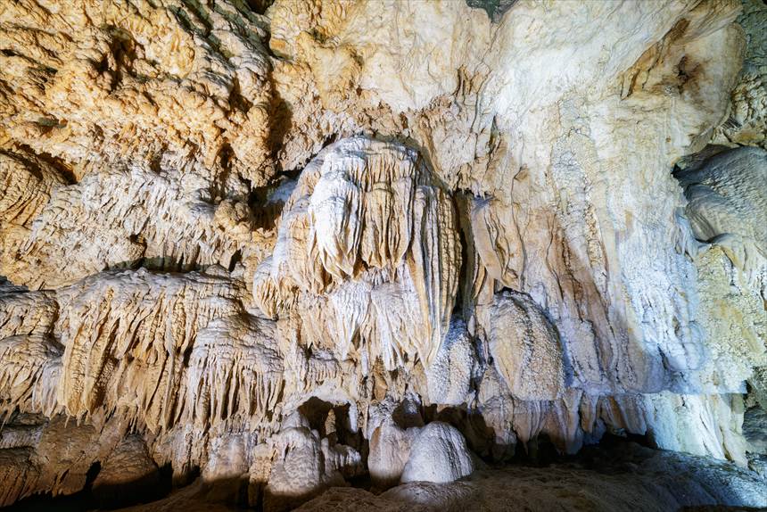 水連洞のクラゲのような鍾乳石