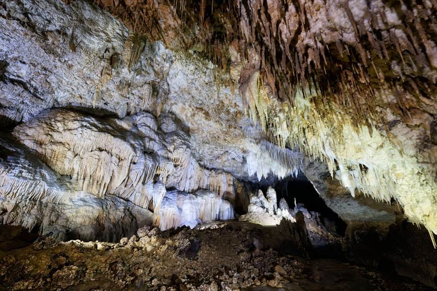 茶色と白の鍾乳石の境界線がよくわかる