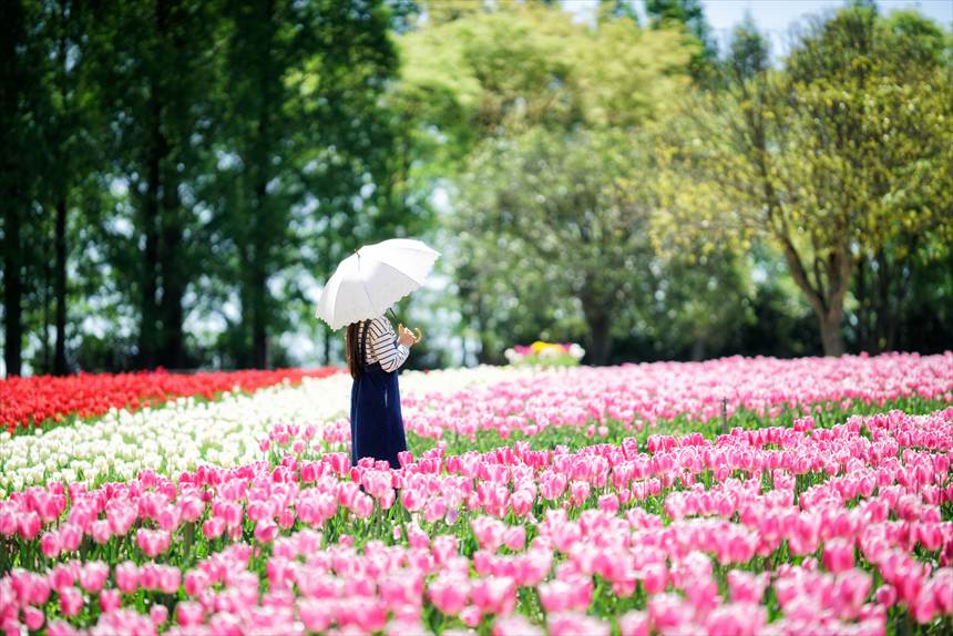 【広島】世羅高原農場　4月下旬〜5月上旬