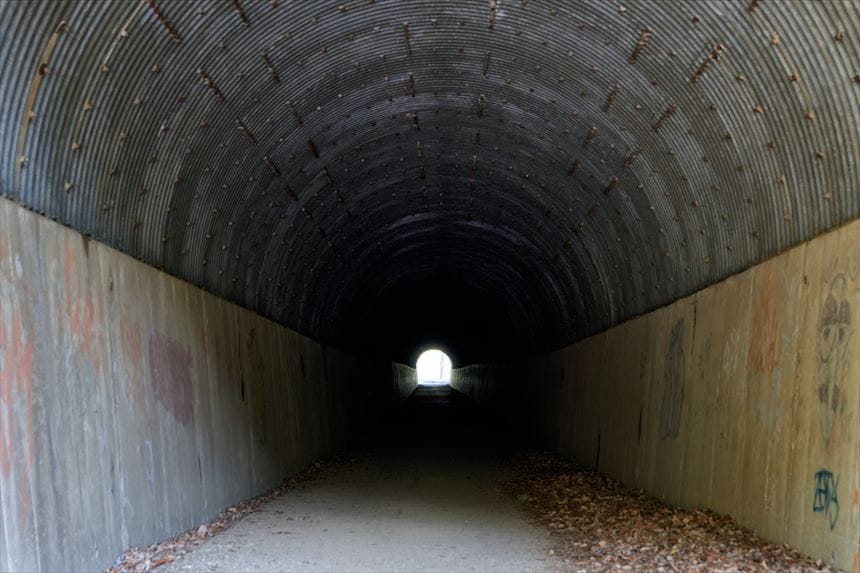 道中にある真っ暗なトンネル　不動尻ミツマタ大群生地