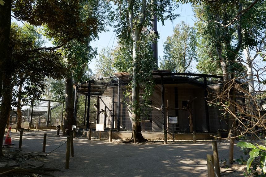 檻の中で飼育されている鳥