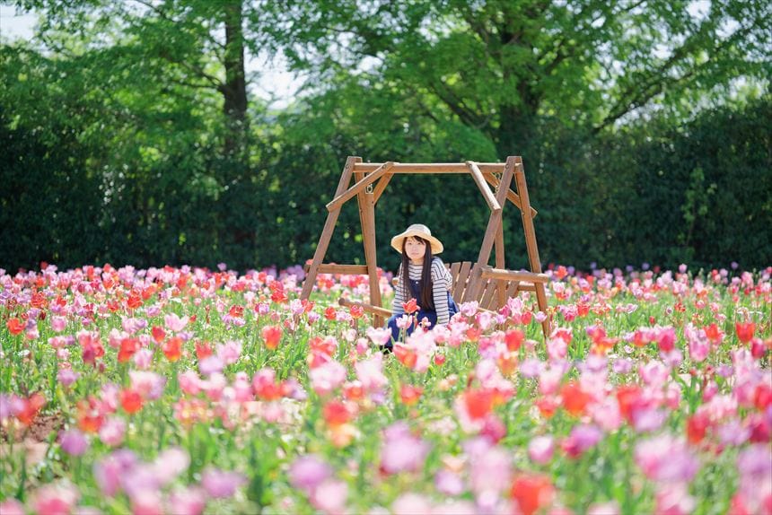 チューリップ畑 世羅高原農場
ブランコ