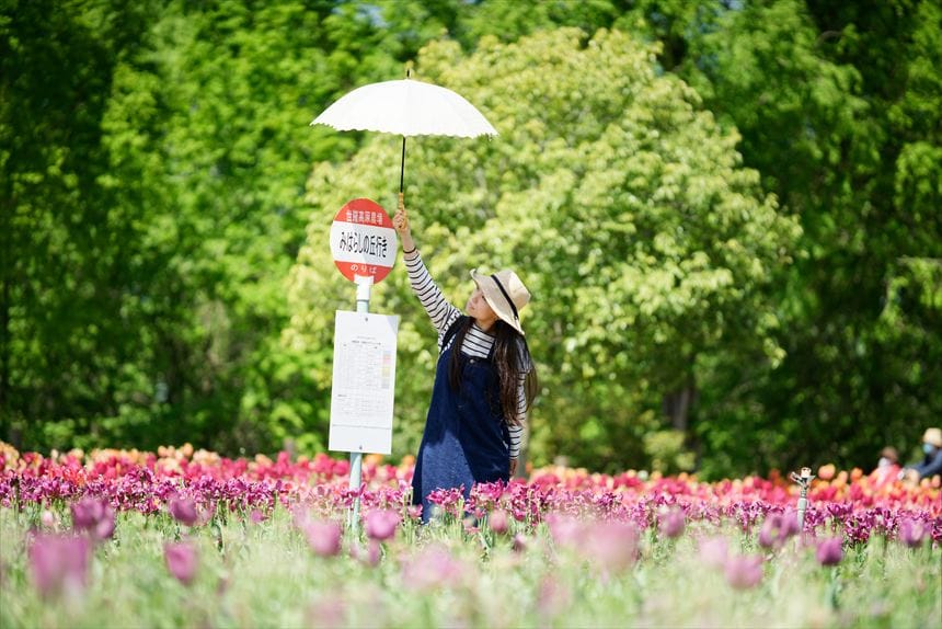 チューリップ畑 世羅高原農場
バス停とともに